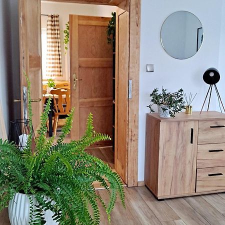 Apartament Dzika Roza Kowary Bagian luar foto